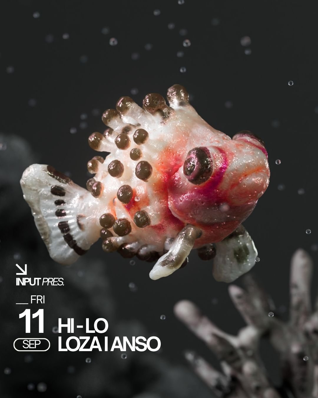 INPUT : HI-LO