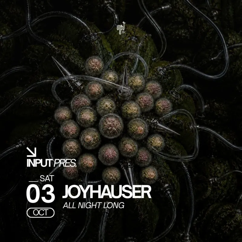 INPUT pres. Joyhauser all night long